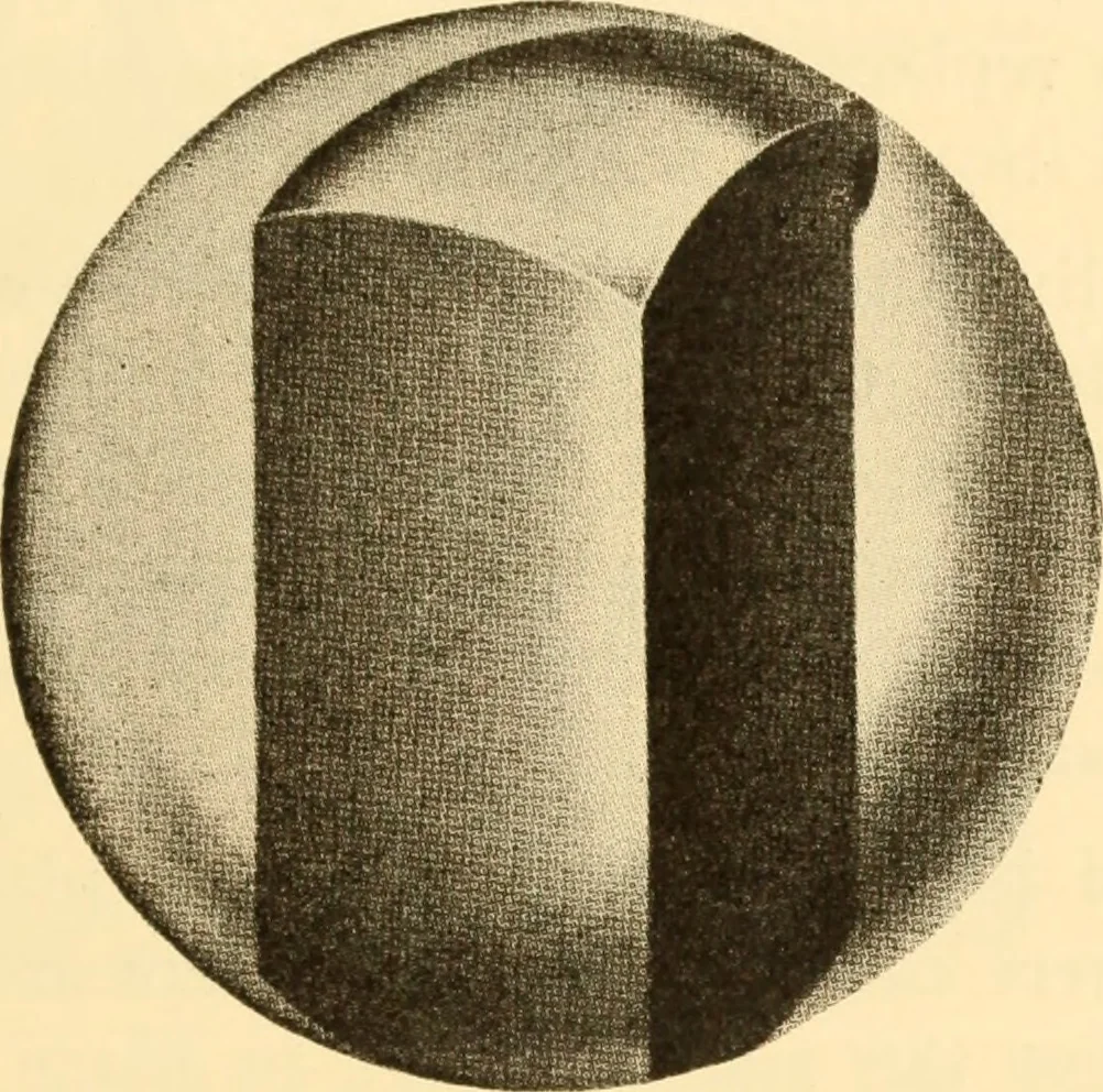 An illustration from The carman's helper, 1920, leaf 250