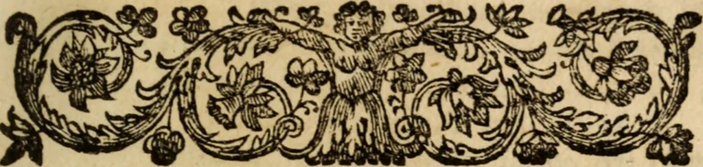 An illustration from Carmina, 1689, leaf 218