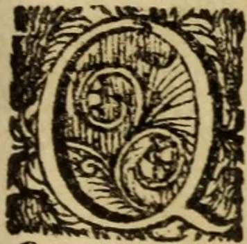 An illustration from Carmina, 1689, leaf 218