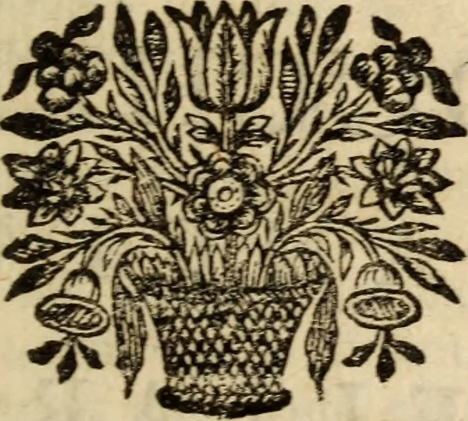 An illustration from Carmina, 1689, leaf 342
