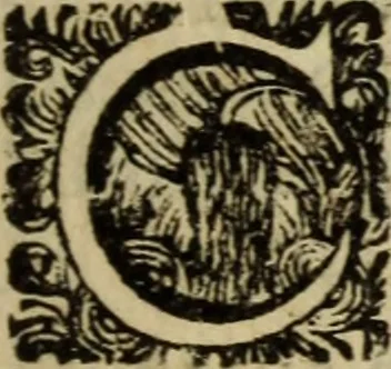 An illustration from Carmina, 1689, leaf 84