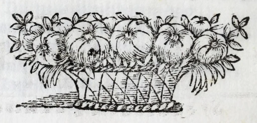 An illustration from Carmina marmoribus Arundelianis fortasse perenniora : in promotione ad sacram purpuram eminentissimi & reuerendissimi principis, Philippi Thomae Houuardi, ex Norfolciae ducibus, & comitibus Arundeliae &c. S.R.E. cardinalis, 1676, leaf 28
