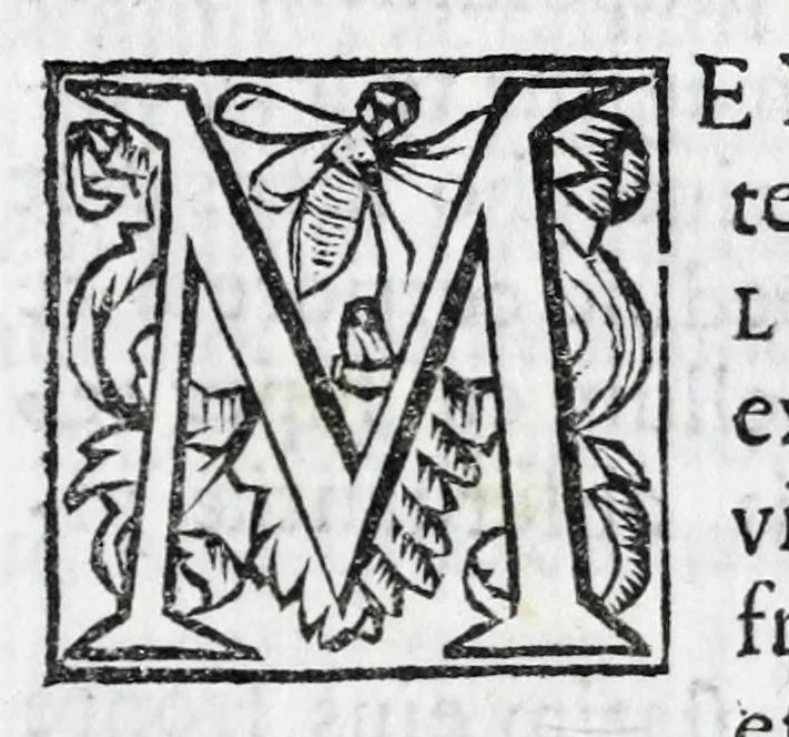 An illustration from Carmina marmoribus Arundelianis fortasse perenniora : in promotione ad sacram purpuram eminentissimi & reuerendissimi principis, Philippi Thomae Houuardi, ex Norfolciae ducibus, & comitibus Arundeliae &c. S.R.E. cardinalis, 1676, leaf 7