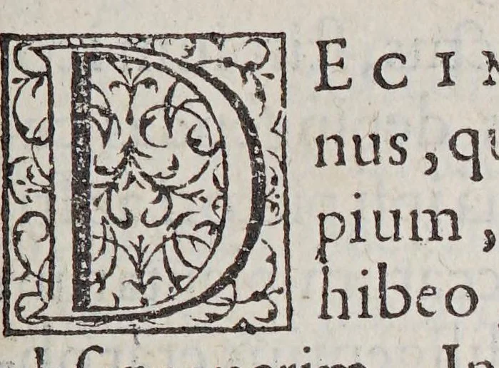 An illustration from Caroli Clusii Atrebat. Rariorum aliquot stirpium per Hispanias obseruatarum historia, : libris duobus expressa, 1576, leaf 13