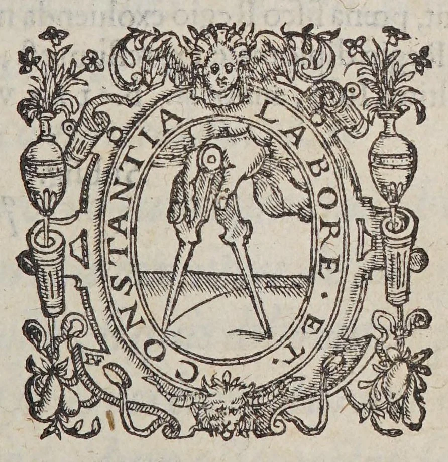 An illustration from Caroli Clusii Atrebat. Rariorum aliquot stirpium per Hispanias obseruatarum historia, : libris duobus expressa, 1576, leaf 7