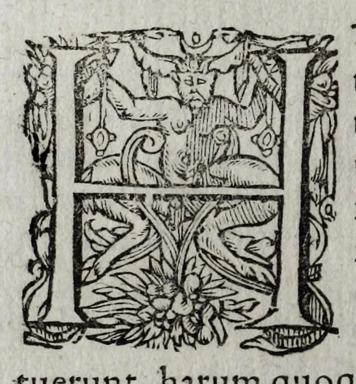 An illustration from Caroli Paschalij regis in sacro consistorio consiliarij, et apud rhaetos legati Coronae : opus quod nunc primùm in lucem editur distinctum X. libris : quibus res omnis coronaria è priscorum eruta & collecta monumentis continetur, 1610, leaf 318