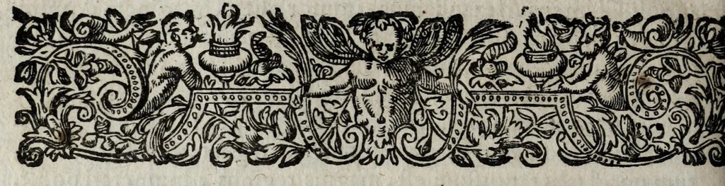 An illustration from Caroli Paschalij regis in sacro consistorio consiliarij, et apud rhaetos legati Coronae : opus quod nunc primùm in lucem editur distinctum X. libris : quibus res omnis coronaria è priscorum eruta & collecta monumentis continetur, 1610, leaf 728