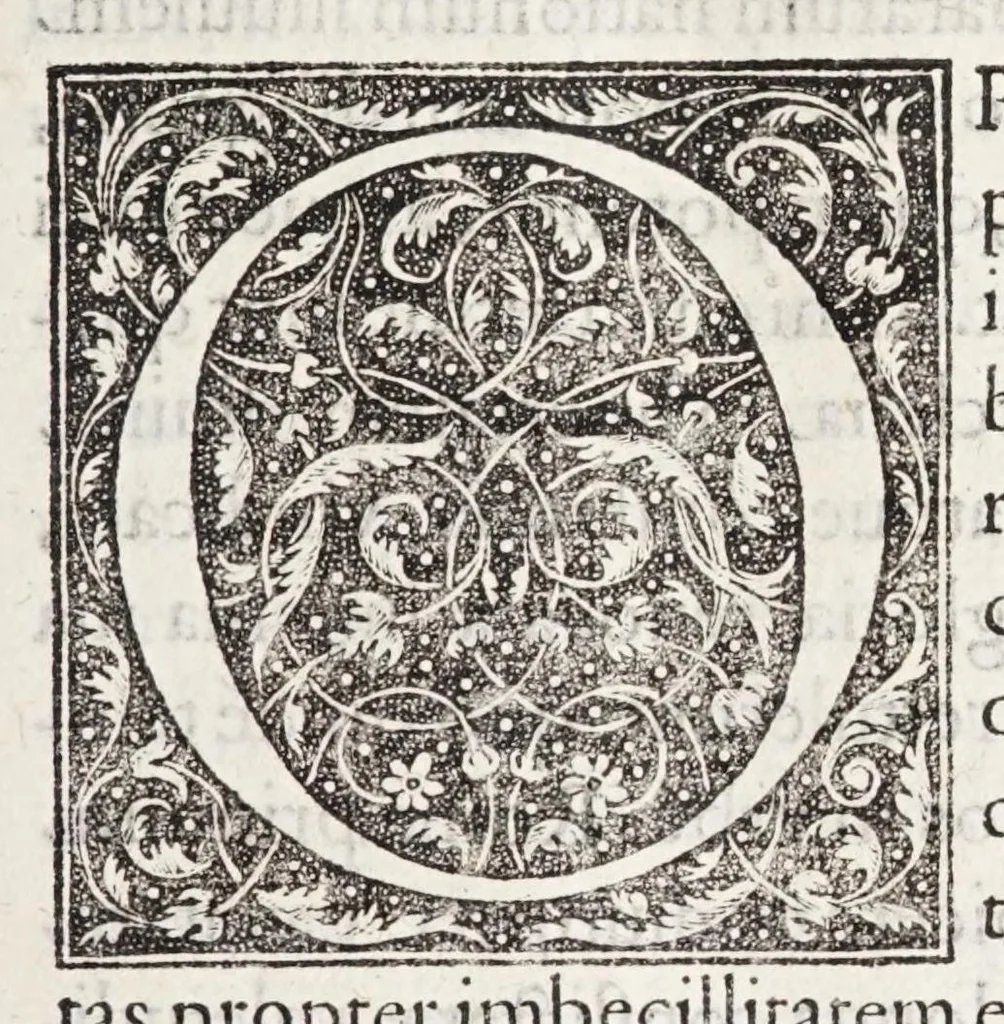 An illustration from Caroli Sigonii De antiqvo ivre civivm Romanorvm Italiae, provinciarvm, Romanae ivrisprvdentiae iudiciis, tum priuatis, tum publicis, eorúmque ratione libri XI : quibus Romani historici, oratores, iurisprudentes, locis innumerabilibus, ex abditis monumentis, explicantur : eivsdem de repvblica Atheniensivm, eorvmqve ac Lacedaemoniorvm temporibvs, libri qvinqvue .., 1576, leaf 13