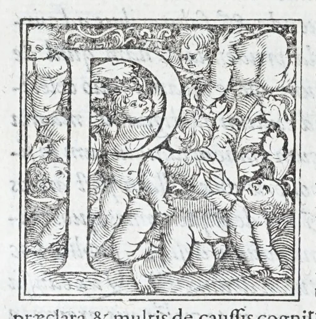 An illustration from Caroli Sigonii De antiqvo ivre civivm Romanorvm Italiae, provinciarvm, Romanae ivrisprvdentiae iudiciis, tum priuatis, tum publicis, eorúmque ratione libri XI : quibus Romani historici, oratores, iurisprudentes, locis innumerabilibus, ex abditis monumentis, explicantur : eivsdem de repvblica Atheniensivm, eorvmqve ac Lacedaemoniorvm temporibvs, libri qvinqvue .., 1576, leaf 566
