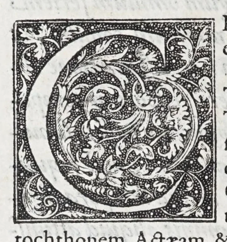 An illustration from Caroli Sigonii De antiqvo ivre civivm Romanorvm Italiae, provinciarvm, Romanae ivrisprvdentiae iudiciis, tum priuatis, tum publicis, eorúmque ratione libri XI : quibus Romani historici, oratores, iurisprudentes, locis innumerabilibus, ex abditis monumentis, explicantur : eivsdem de repvblica Atheniensivm, eorvmqve ac Lacedaemoniorvm temporibvs, libri qvinqvue .., 1576, leaf 672