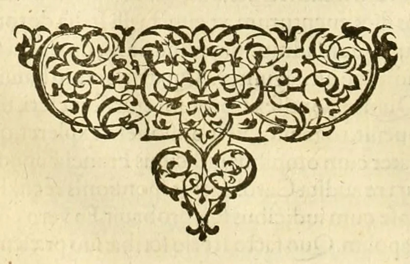 An illustration from Caroli Sigonii Historiarum de regno Italiae libri quindecim : ... qui libri historiam ab anno DLXX vsque ad MCC. continent. Accessit præter alias editiones, rerum memorabilium index locupletissimus, 1575, leaf 100