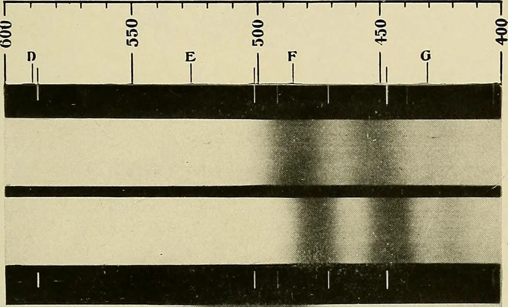 An illustration from Carotinoids and related pigments; the chromolipoids, 1922, leaf 228