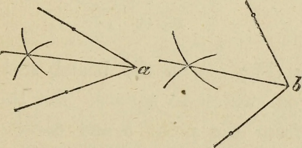 An illustration from The carpenter's and joiner's hand-book : containing a complete treatise on framing hip and valley roofs ..., 1888, leaf 28