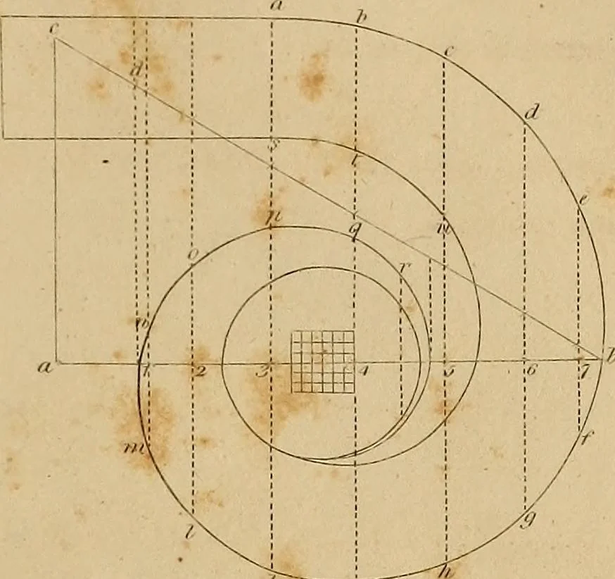 An illustration from The carpenter's new guide: being a complete book of lines for carpentry and joinery. Treating fully on practical geometry, soffits, brick and plaster groins ... with a great variety of designs for roofs, trussed girders ... with many other things entirely new: the whole founded on true geometrical principles; the theory and practice well explained and fully exemplified on eighty-four copper-plates; including some observations and calculations on the strength of timber, 1830, leaf 202