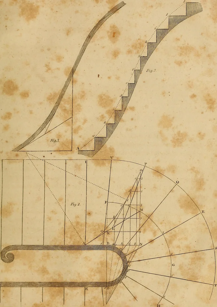An illustration from The carpenter's new guide: being a complete book of lines for carpentry and joinery. Treating fully on practical geometry, soffits, brick and plaster groins ... with a great variety of designs for roofs, trussed girders ... with many other things entirely new: the whole founded on true geometrical principles; the theory and practice well explained and fully exemplified on eighty-four copper-plates; including some observations and calculations on the strength of timber, 1830, leaf 248