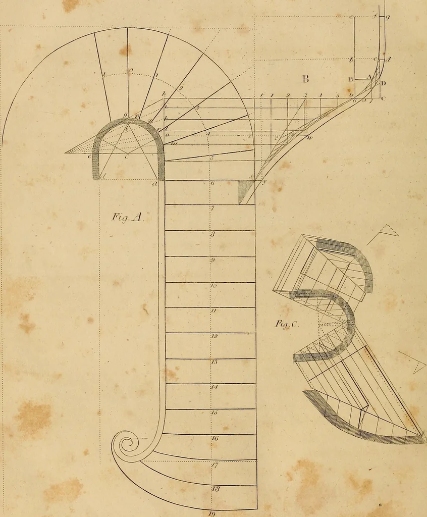 An illustration from The carpenter's new guide: being a complete book of lines for carpentry and joinery. Treating fully on practical geometry, soffits, brick and plaster groins ... with a great variety of designs for roofs, trussed girders ... with many other things entirely new: the whole founded on true geometrical principles; the theory and practice well explained and fully exemplified on eighty-four copper-plates; including some observations and calculations on the strength of timber, 1830, leaf 251