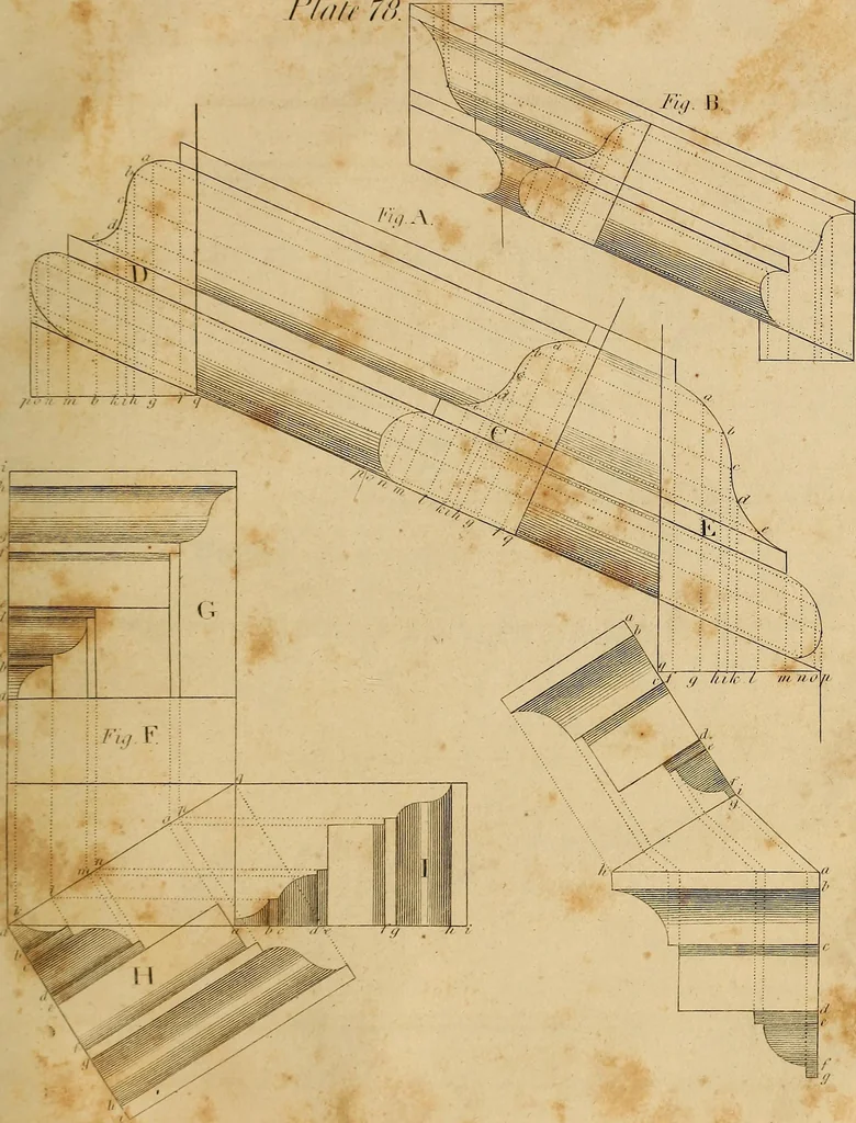 An illustration from The carpenter's new guide: being a complete book of lines for carpentry and joinery. Treating fully on practical geometry, soffits, brick and plaster groins ... with a great variety of designs for roofs, trussed girders ... with many other things entirely new: the whole founded on true geometrical principles; the theory and practice well explained and fully exemplified on eighty-four copper-plates; including some observations and calculations on the strength of timber, 1830, leaf 276
