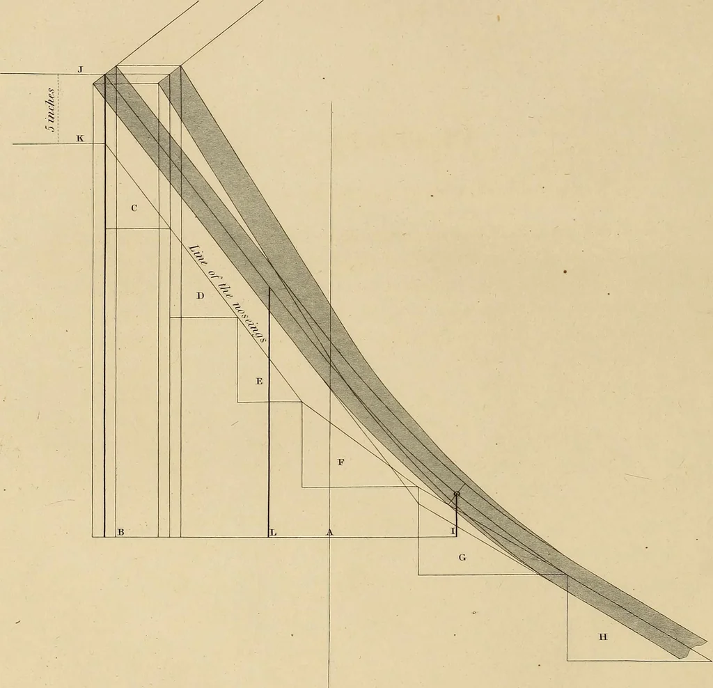 An illustration from The carpenter's new guide: being a complete book of lines for carpentry and joinery, 1848, leaf 209