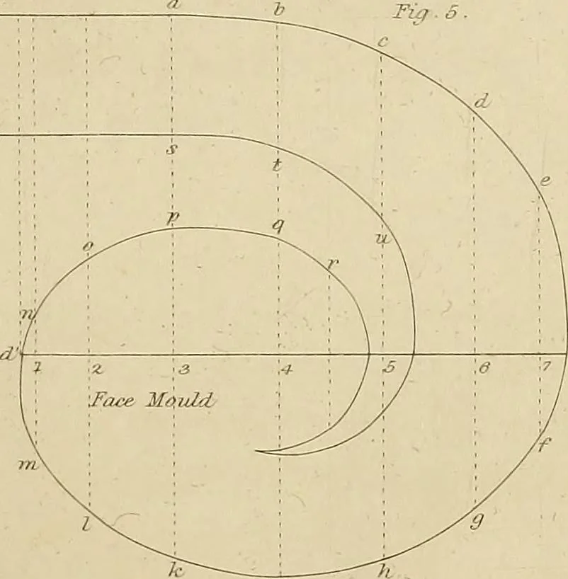 An illustration from The carpenter's new guide; a complete book of lines for carpentry and joinery, treating fully on practical geometry, soffits, groins, niches, roofs, and domes, and containing a great variety of original designs. Also a full exemplification of the theory and practice of stair building, cornices, mouldings, and dressings of every description. Including also some observations and calculations on the strength of timber, 1854, leaf 216