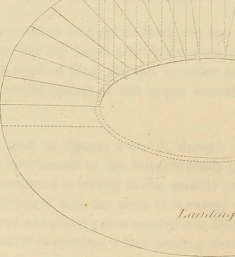 An illustration from The carpenter's new guide: being a complete book of lines for carpentry and joinery, 1850, leaf 231