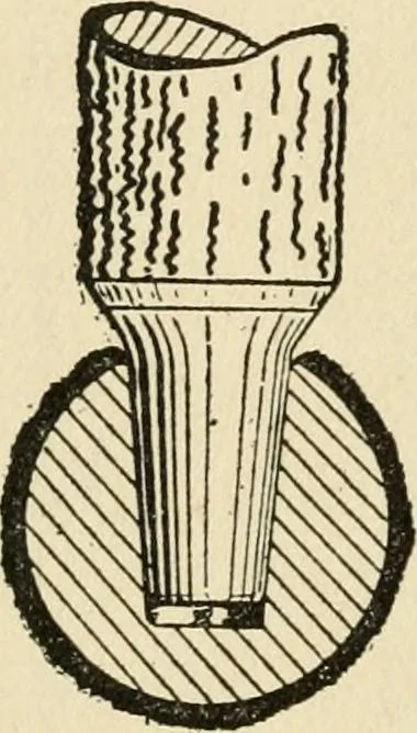 An illustration from Carpentry for beginners;, 1917, leaf 247