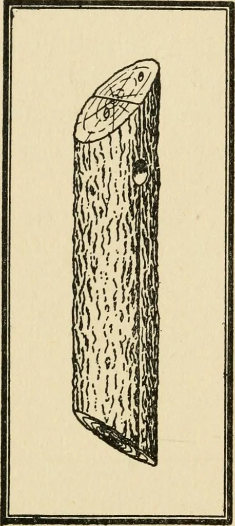 An illustration from Carpentry for beginners;, 1917, leaf 263