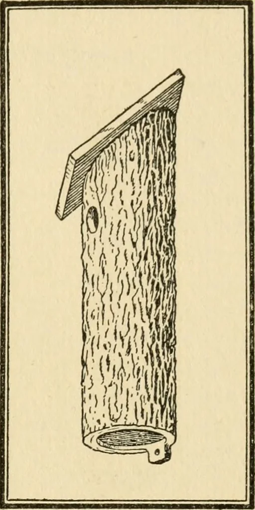 An illustration from Carpentry for beginners;, 1917, leaf 264
