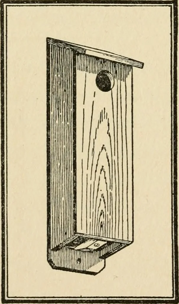 An illustration from Carpentry for beginners;, 1917, leaf 265