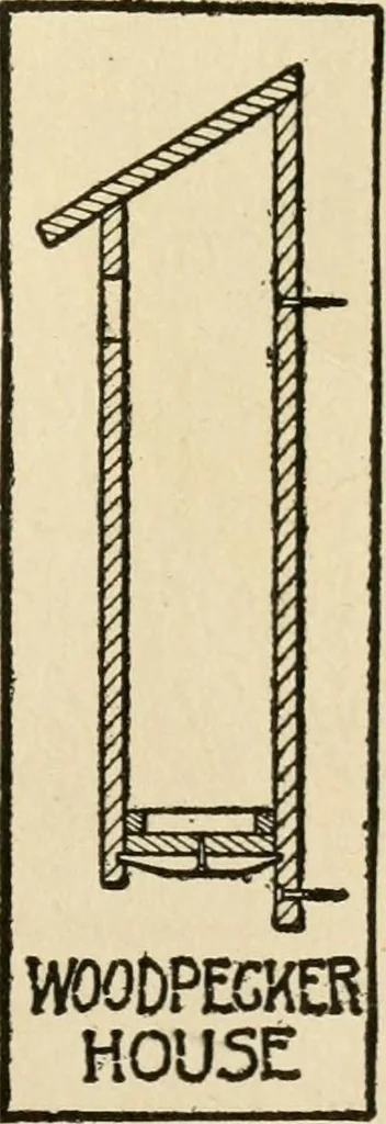 An illustration from Carpentry for beginners;, 1917, leaf 266