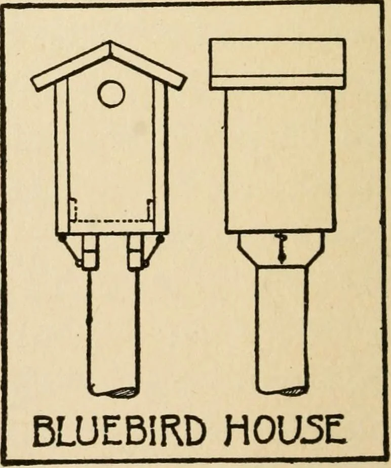 An illustration from Carpentry for beginners;, 1917, leaf 267