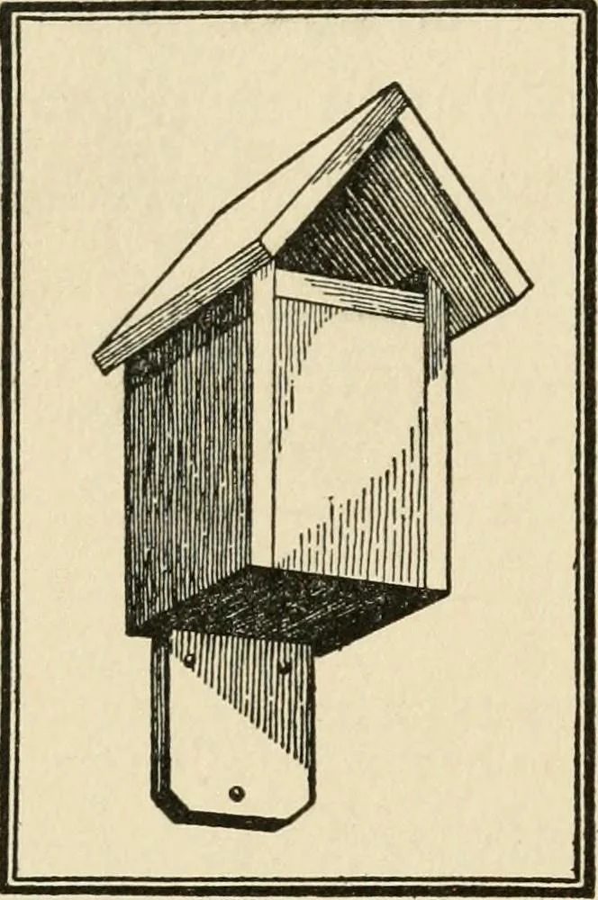 An illustration from Carpentry for beginners;, 1917, leaf 269