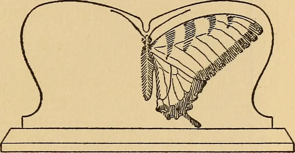 An illustration from Carpentry and woodwork, 1911, leaf 136