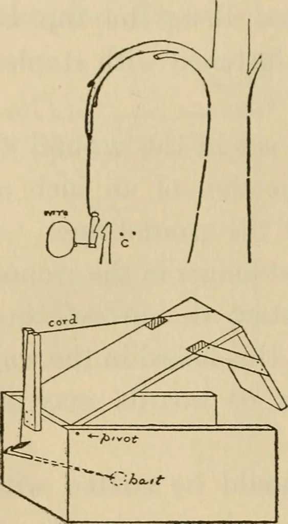 An illustration from Carpentry and woodwork, 1911, leaf 485