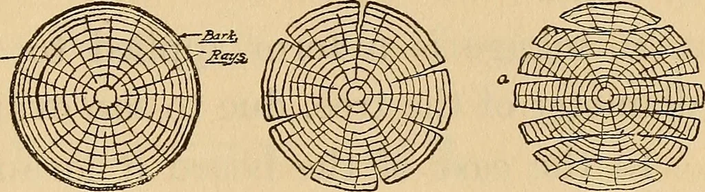 An illustration from Carpentry and woodwork, 1911, leaf 560