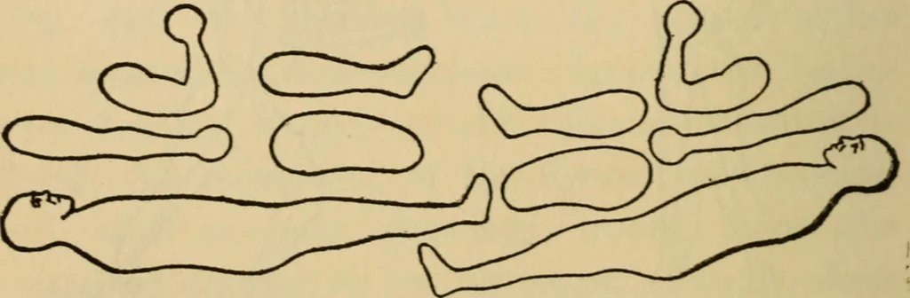 An illustration from Carpentry and woodwork, 1911, leaf 79
