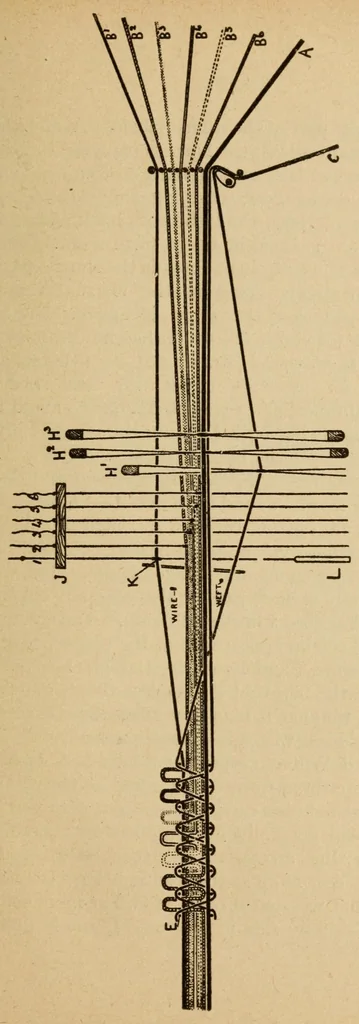 An illustration from Carpets, 1919, leaf 47