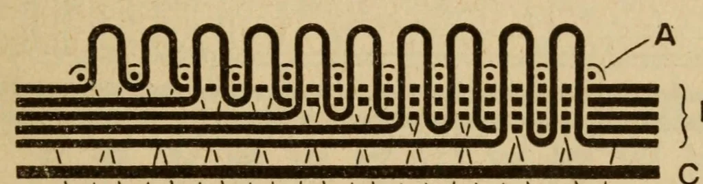 An illustration from Carpets, 1919, leaf 49