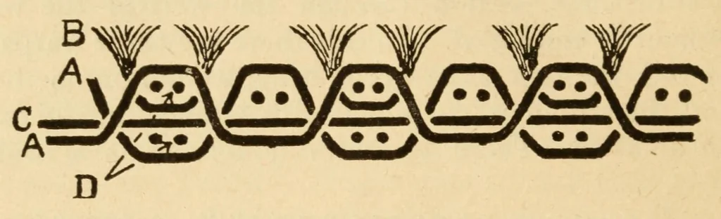 An illustration from Carpets, 1919, leaf 66