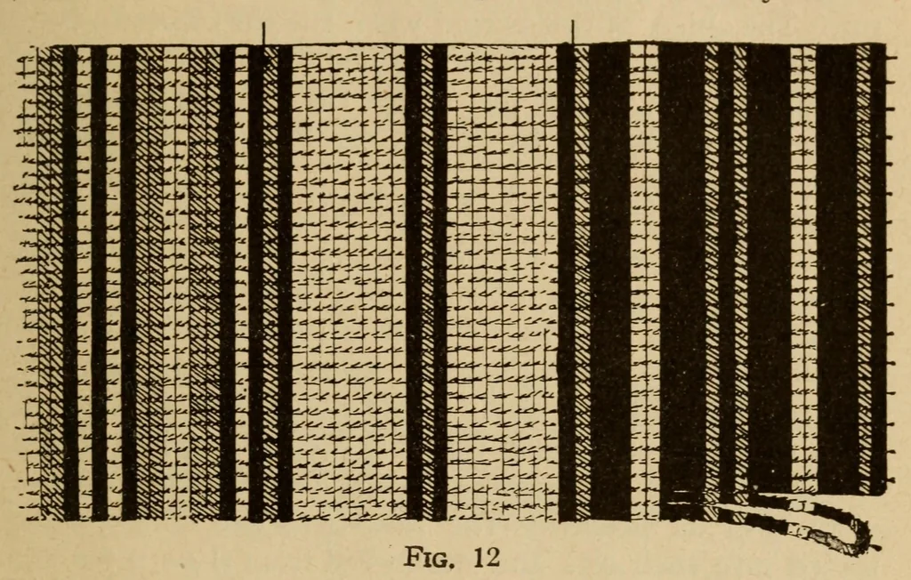 An illustration from Carpets, 1919, leaf 81