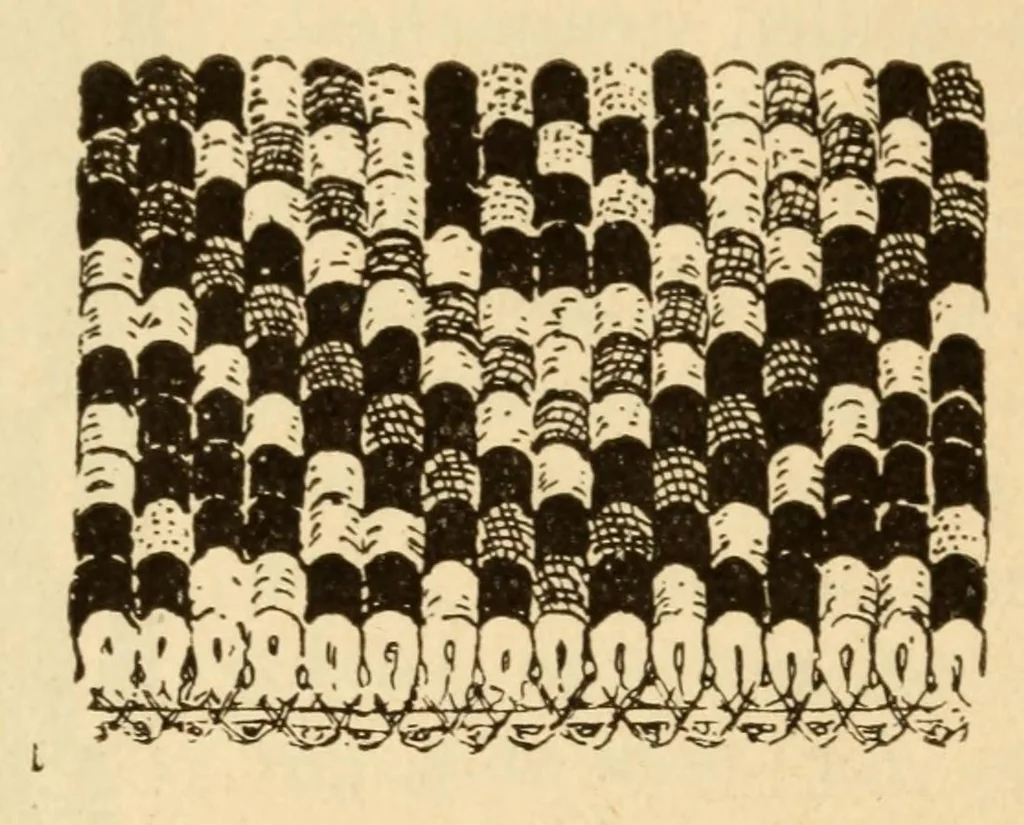 An illustration from Carpets, 1919, leaf 98