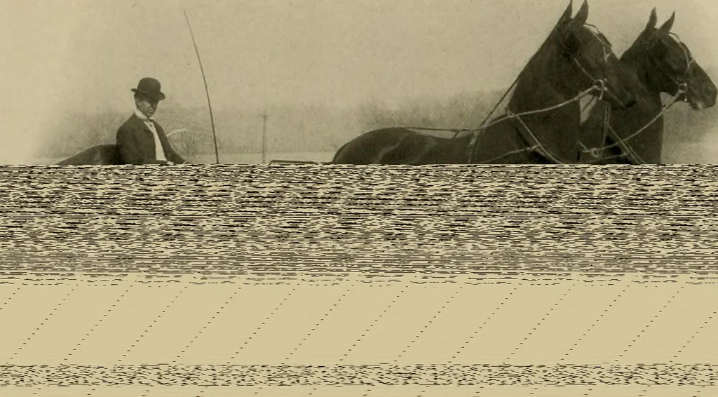 An illustration from Carriage builders catalogue, 1909, leaf 1