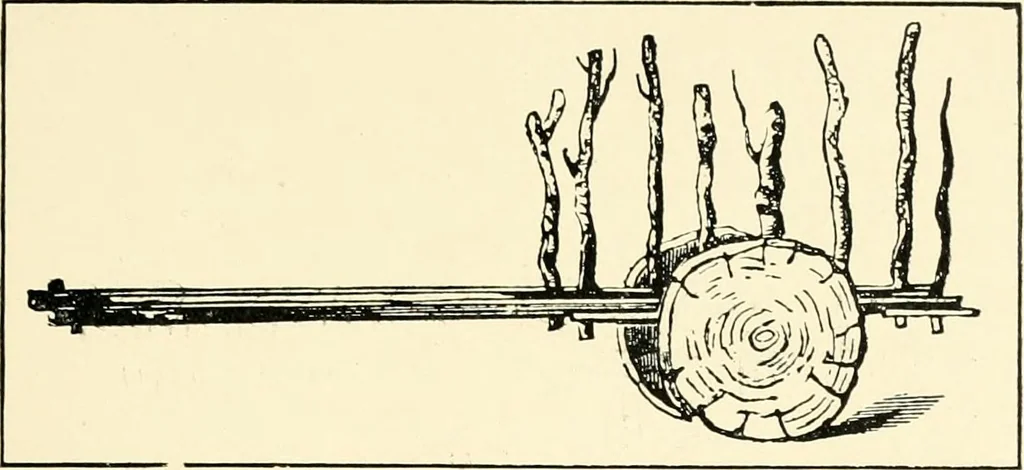 An illustration from Carriages & coaches : their history & their evolution, 1912, leaf 24