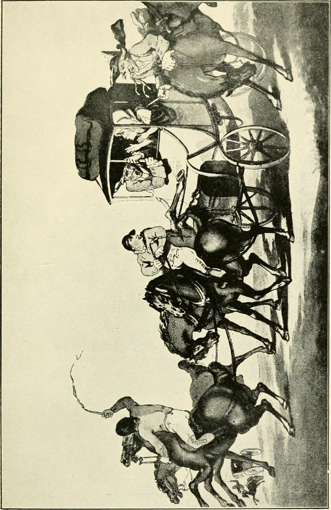 An illustration from Carriages & coaches : their history & their evolution, 1912, leaf 256