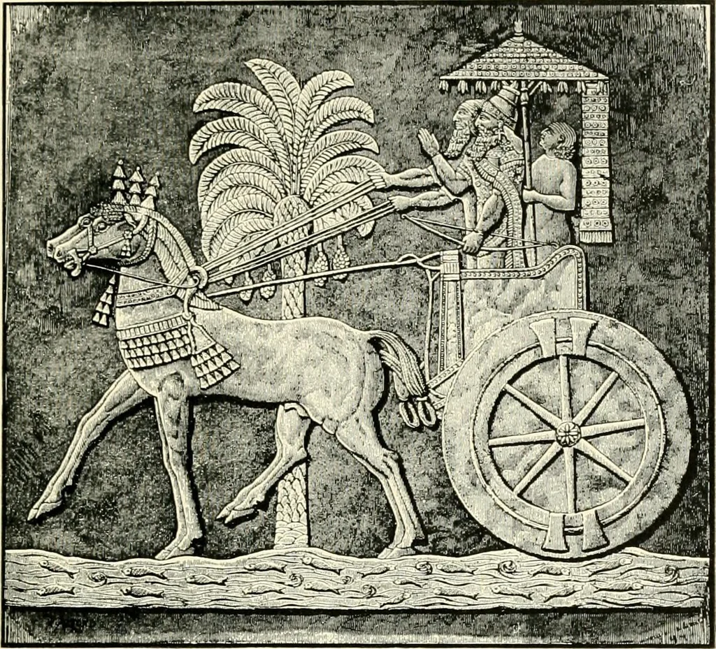 An illustration from Carriages & coaches : their history & their evolution, 1912, leaf 28