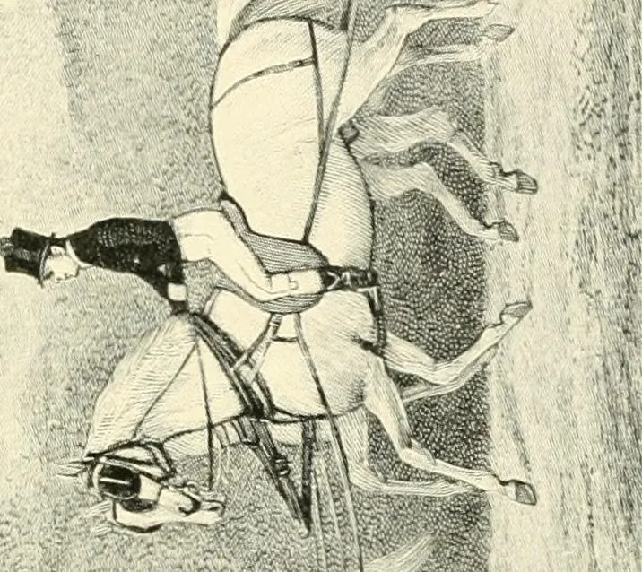 An illustration from Carriages & coaches : their history & their evolution, 1912, leaf 324