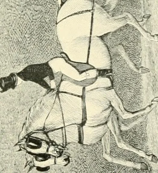 An illustration from Carriages & coaches : their history & their evolution, 1912, leaf 324