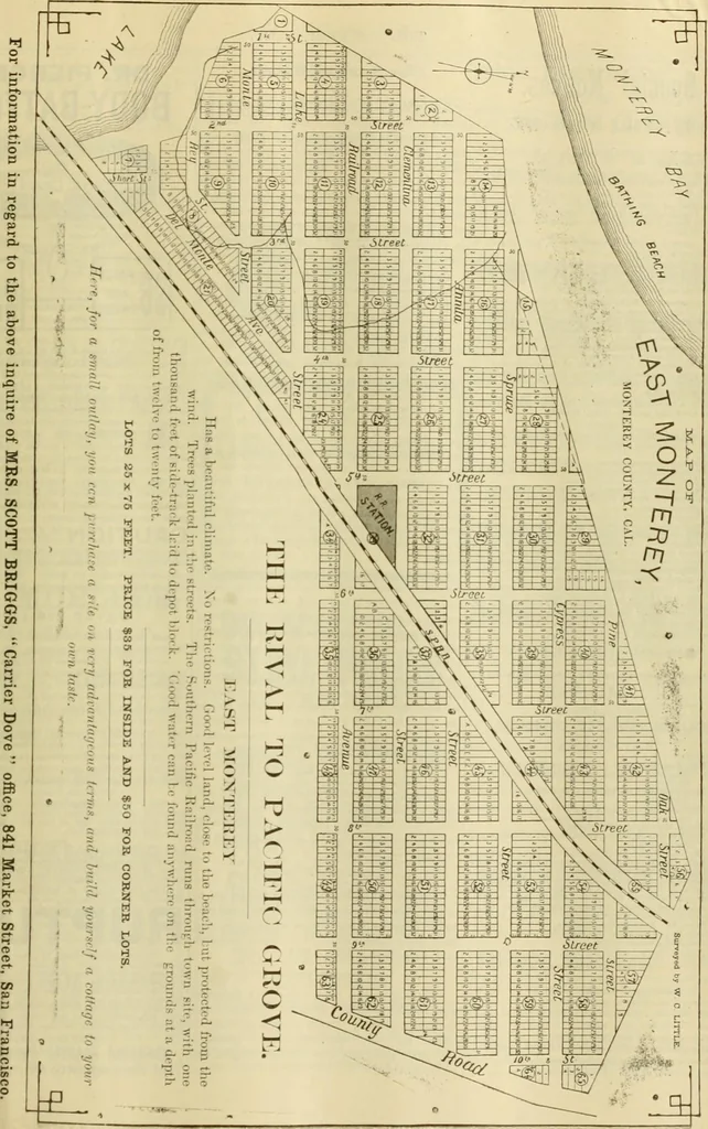 An illustration from The Carrier dove, 1884, leaf 110