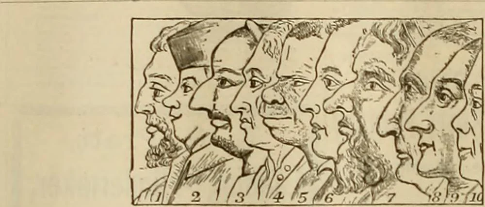 An illustration from The Carrier dove, 1884, leaf 113