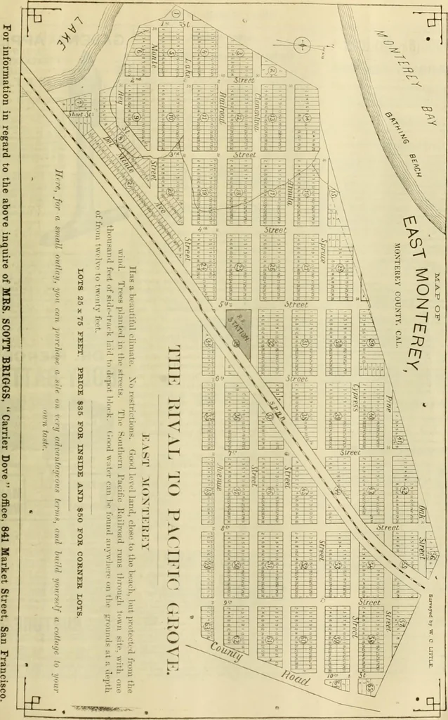 An illustration from The Carrier dove, 1884, leaf 166