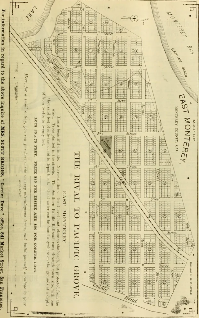 An illustration from The Carrier dove, 1884, leaf 194